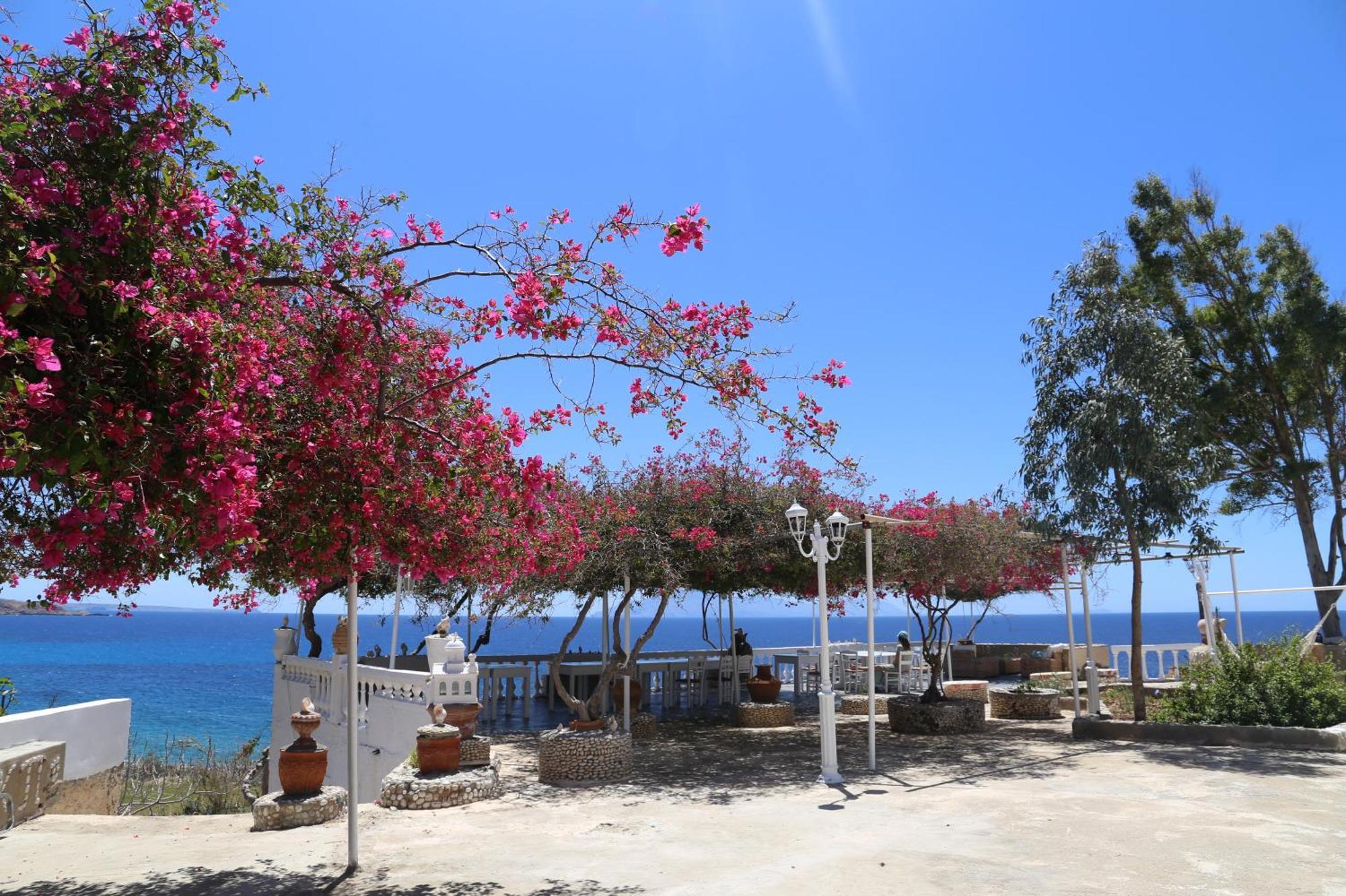 Aparthotel Kathys Island Retreat Adia Exterior foto